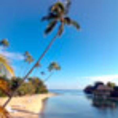 Zhaixiangzi Xian Ya Chang Hotpot